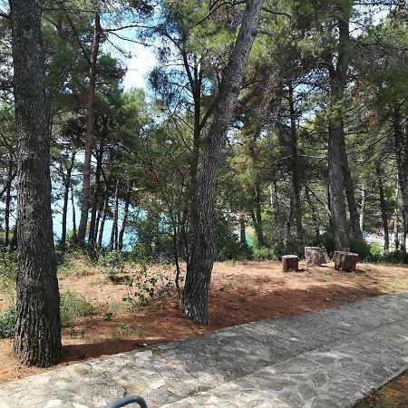 Apartmani Katerina Pula Dış mekan fotoğraf